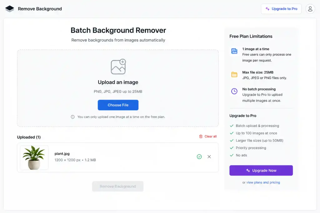Batch processing upload screen attempt for a free AI background removal tool showing only one file allowed